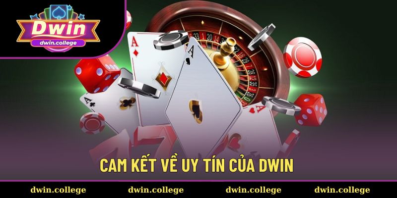 Cập nhật những cam kết của nhà cái